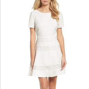 NWT! Chelsea28 Fit & Flare Dress